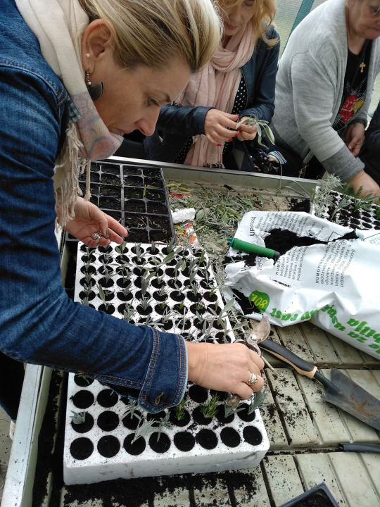 Iz udruge EMEDEA pozivaju nezaposlene da se prijave na besplatan program obrazovanja odraslih!