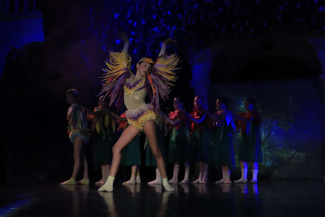 Balet na Ljetnoj: 'Smračilo mi se, ali na kraju je ispalo bolje nego išta'