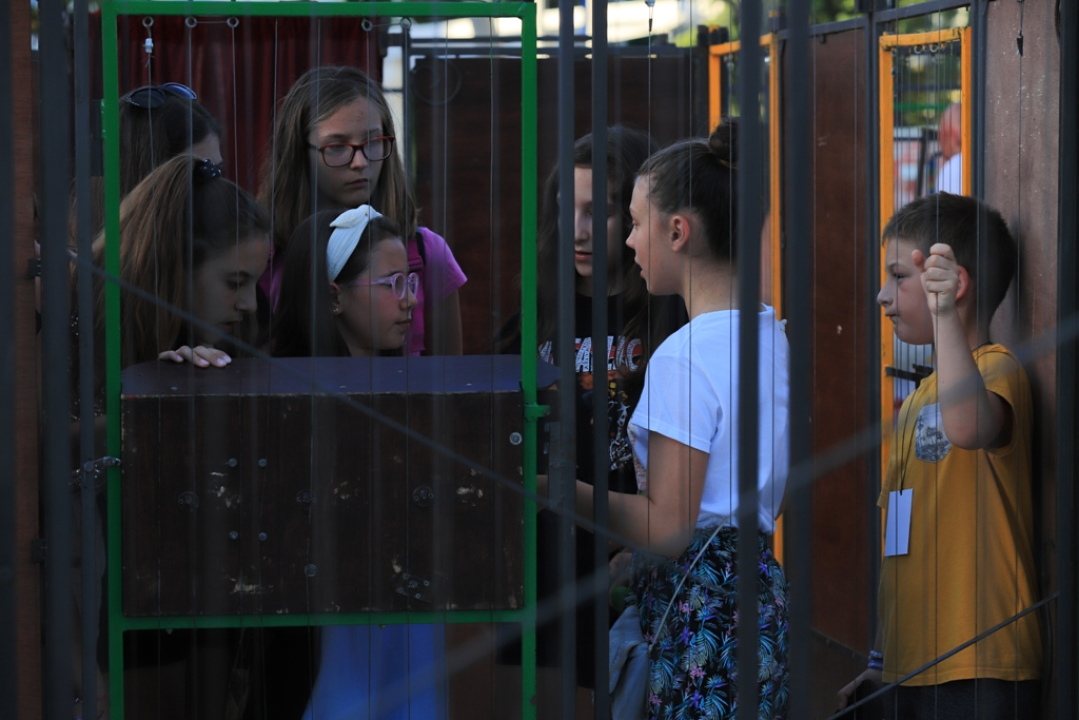 Šibenski glumci vraćaju se kući, a grad cijeli u znaku lijepe pisane riječi     