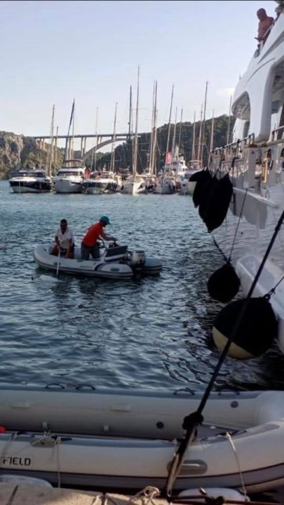 Fotografija koja puno govori: Čini li vam se da je labud na kojeg je u Skradinu s jahte skočio mađarski turist sposoban sam otplivati dalje?