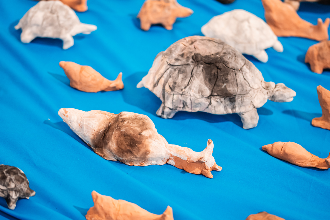 ‘Žabe’ okupirale sv. Krševan: Na zidu su psihodelične, na podu ih je stotine od terakote