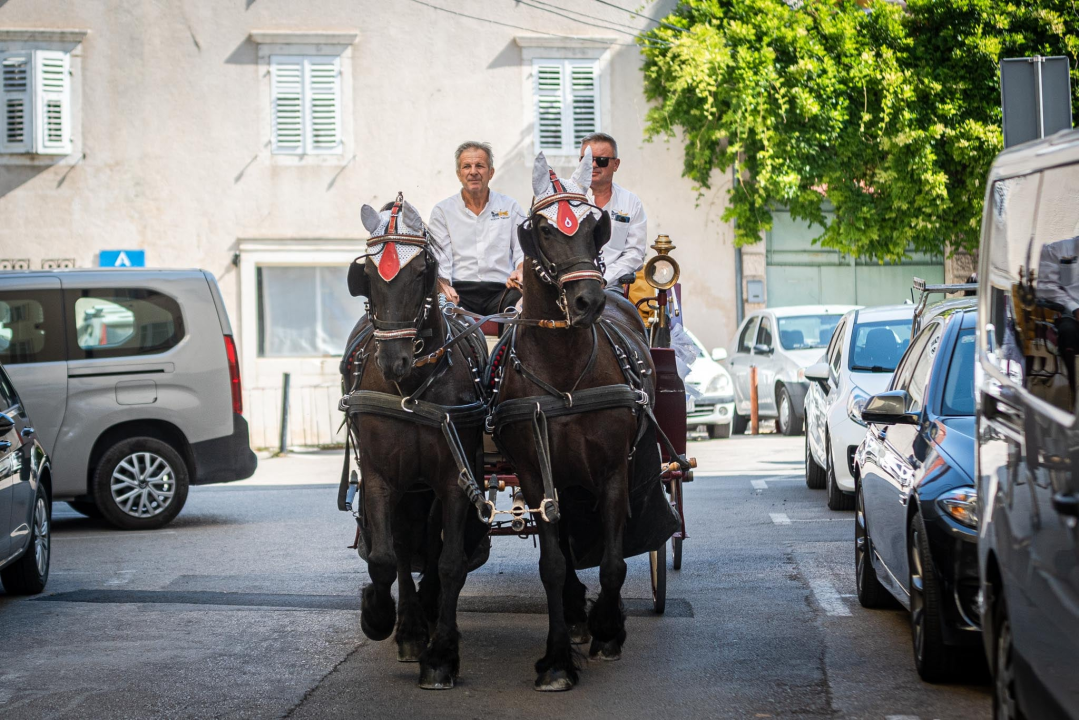 Vjenčanje na belgijski način: Dvije frizijske kobile kaskale centrom grada i rivom  
