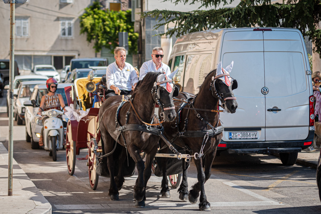 Vjenčanje na belgijski način: Dvije frizijske kobile kaskale centrom grada i rivom  