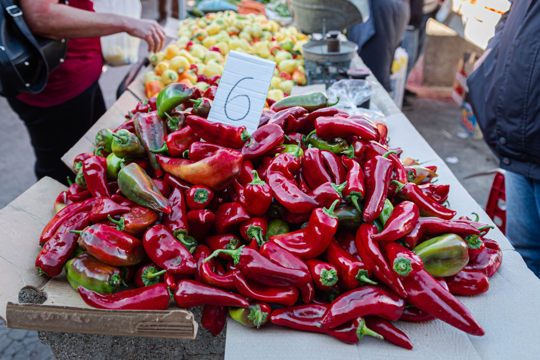 Od ogromnih kokota i mola sa šibenske peškarije dalo bi se skuhati juhu za omanji bataljun  