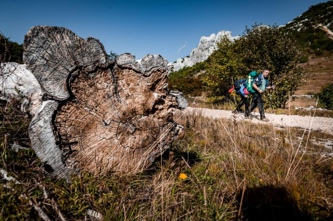 Pogledajte spektakularne fotografije 'Highlander Velebit': Čak 600 ljubitelja prirode u istraživanju veličanstvene planine