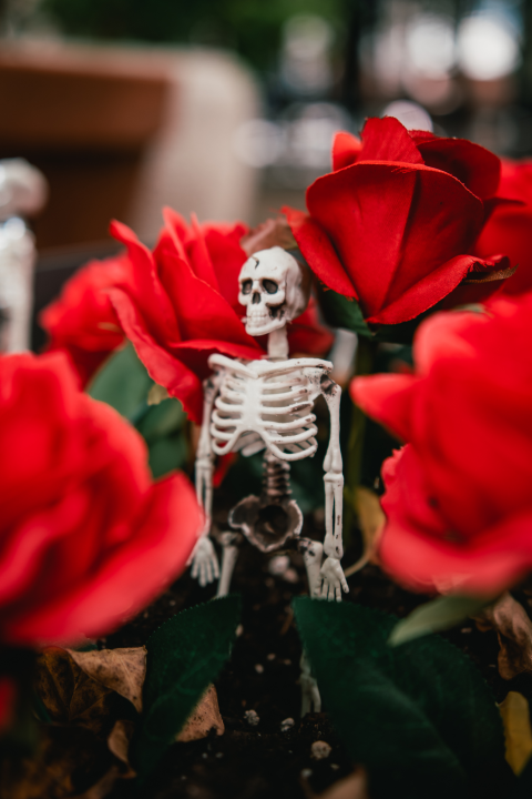 U Šibeniku Halloween i Holywin podjednako popularni: Jedno je cjelonoćna molitva, drugo maskirani ples