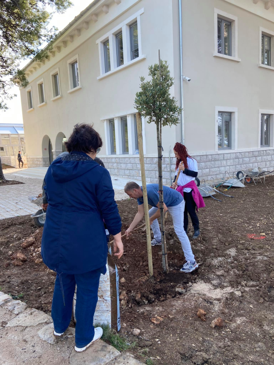 Šibenski volonteri s kolegama iz Europe zasadili mlada stabla u uvali Minerska u kanalu