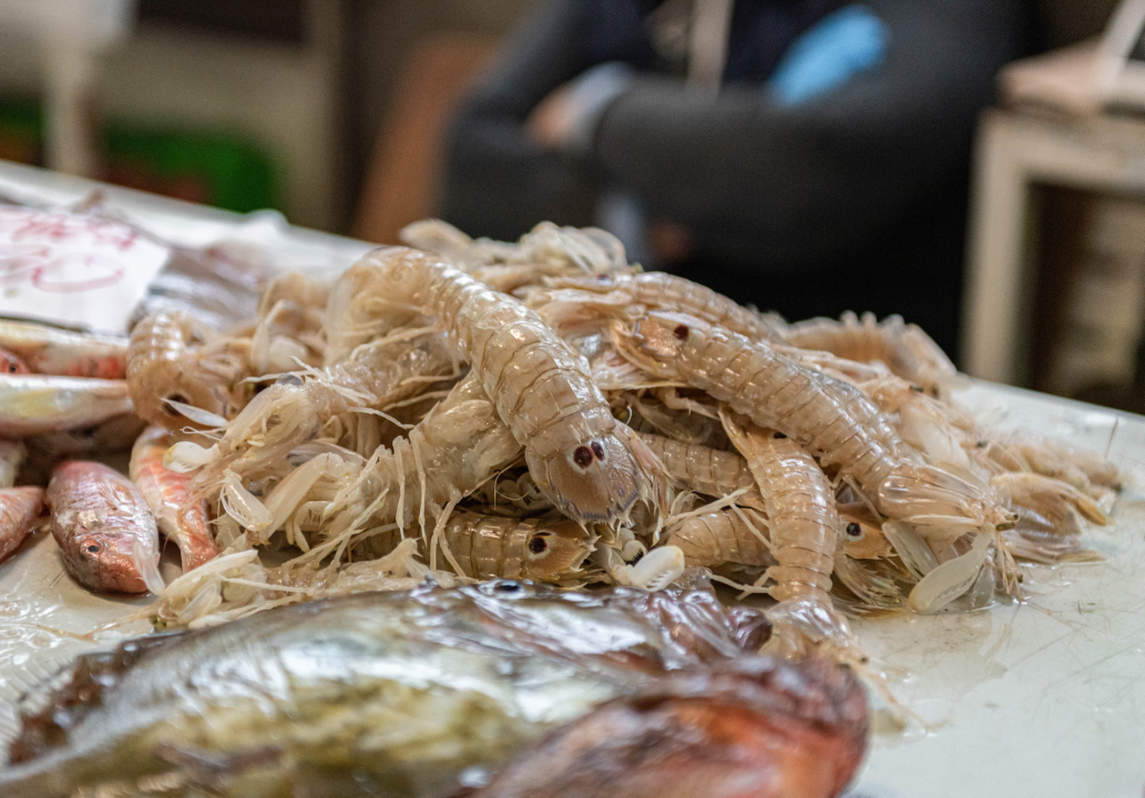 Ponuda ribe na peškariji u skladu s tmurnim danom: Ipak, za 50 kuna može se kupiti pet kila ribe, a ima i štriguna