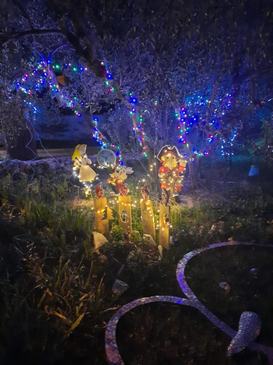 Krenula je božićna bajka: 20 tisuća lampica obasjalo je vrt obitelji Vlahov 