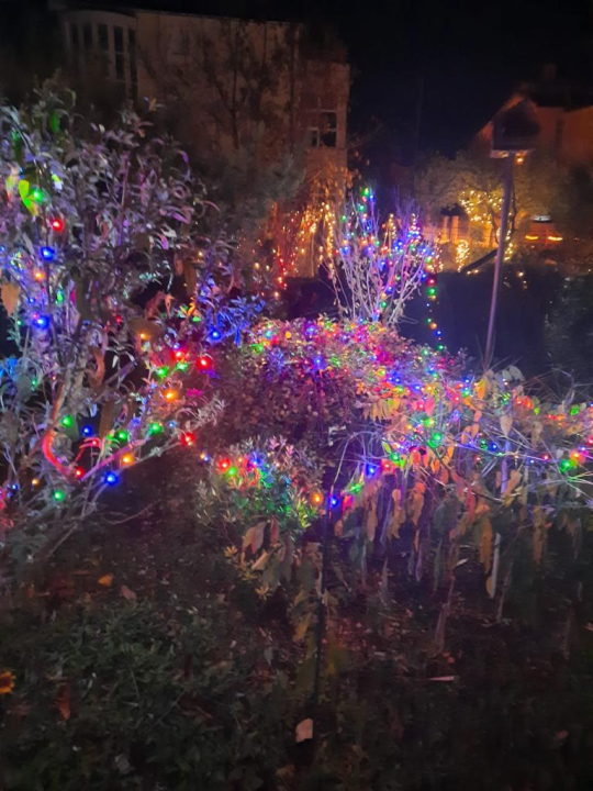 Krenula je božićna bajka: 20 tisuća lampica obasjalo je vrt obitelji Vlahov 