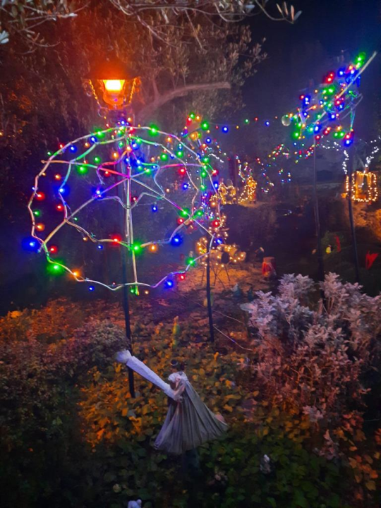 Krenula je božićna bajka: 20 tisuća lampica obasjalo je vrt obitelji Vlahov 