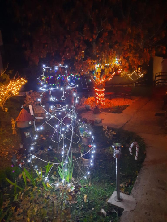 Krenula je božićna bajka: 20 tisuća lampica obasjalo je vrt obitelji Vlahov 