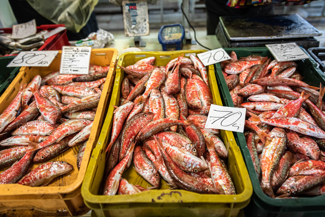 Na Badnji dan i nije neka ponuda na peškariji, Šibenčani su se za ove blagane izgleda pripremili ranije 