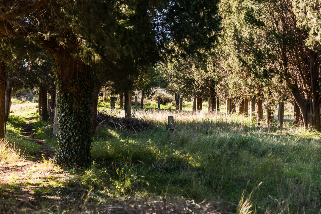 'To groblje je poput Pandorine kutije, bila je i njemačka krim policija': Na Raskrižju su posljednje počivalište našli i partizani i fašisti