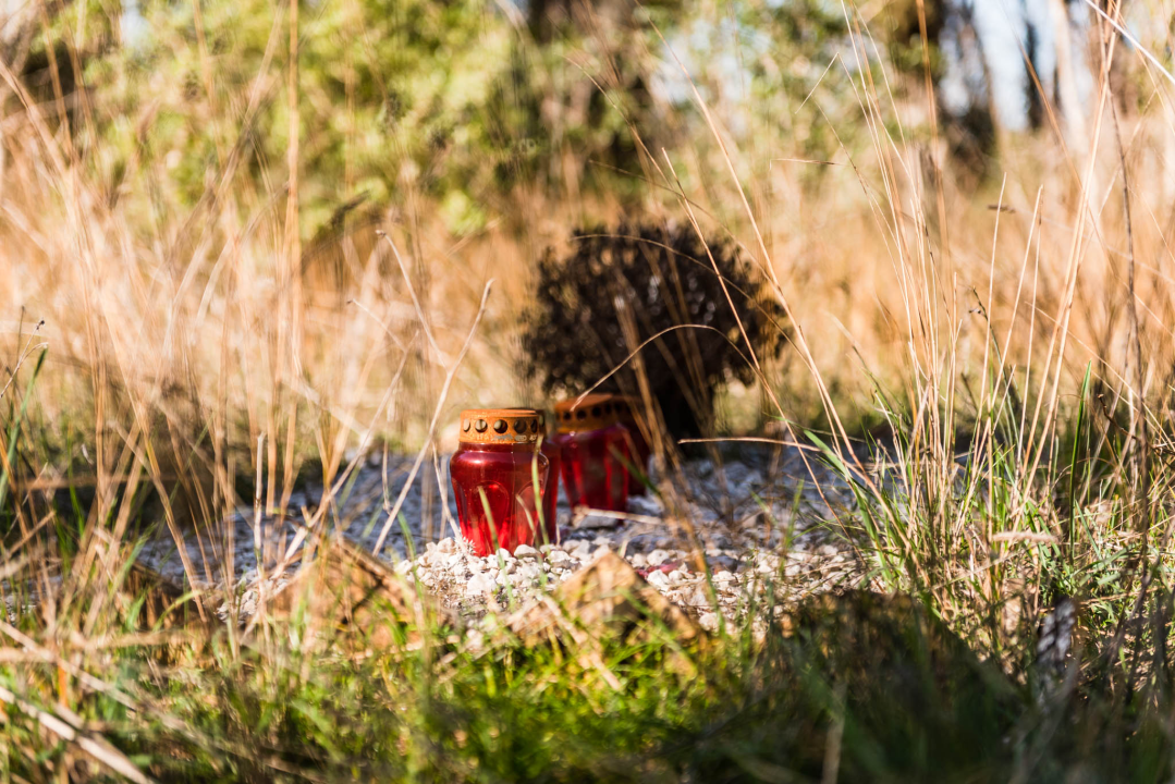 'To groblje je poput Pandorine kutije, bila je i njemačka krim policija': Na Raskrižju su posljednje počivalište našli i partizani i fašisti