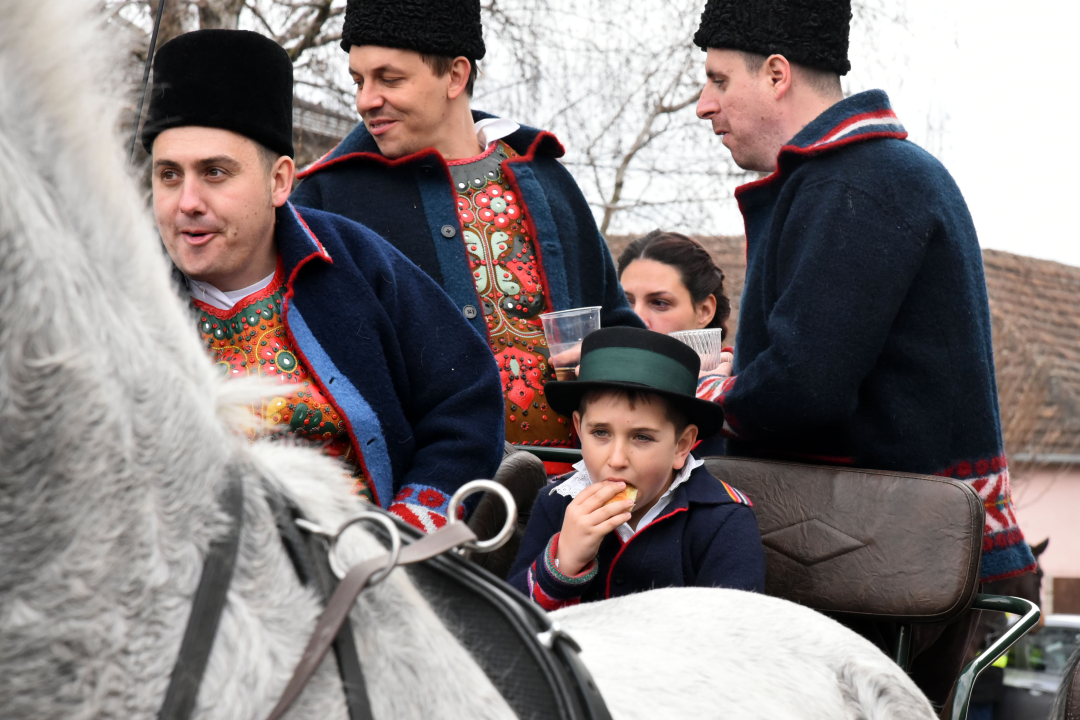 Više od 70 jahača projahalo Vinkovcima u 19. pokladnom jahanju