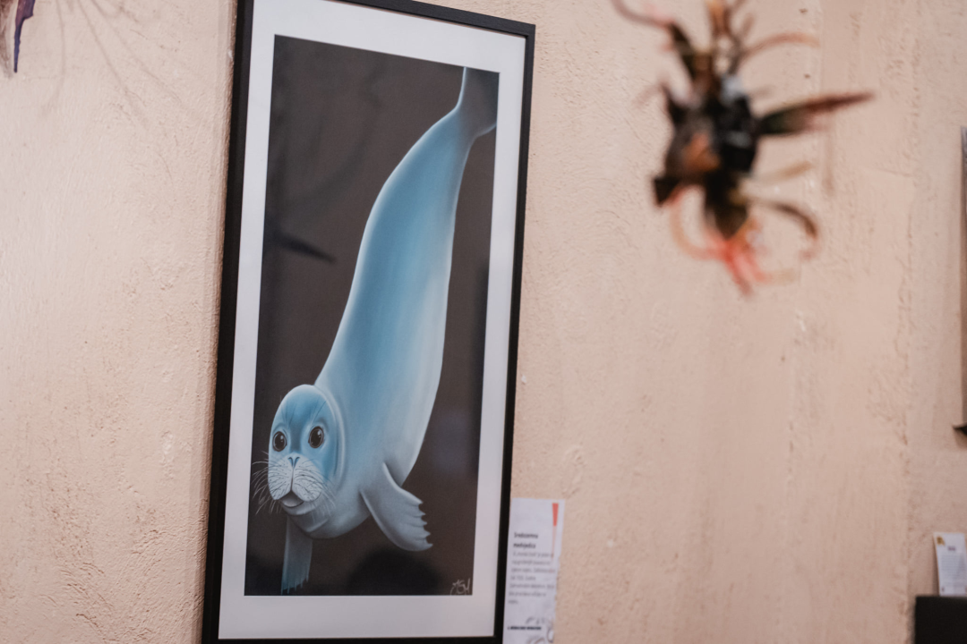 'Fallitur Visus – Izgled vara': Zaštićene životinjske vrste Ive Sabljić Martinović na izložbi u Azimutu 