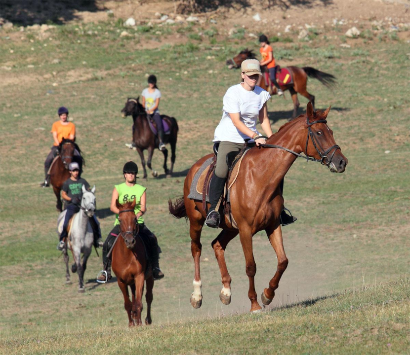 Na Kninskoj tvrđavi Praznik rada slave dan ranije: Posjetitelje očekuju srdele, storytelling ture i vrijedne nagrade!