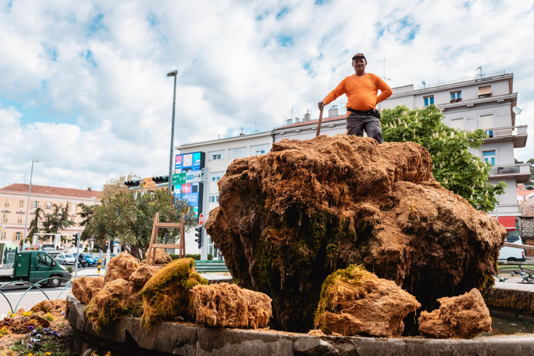 Uklonjen dio sedre kojemu je prijetilo urušavanje: Opet će zazeleniti, a kornjače dobivaju sunčalište