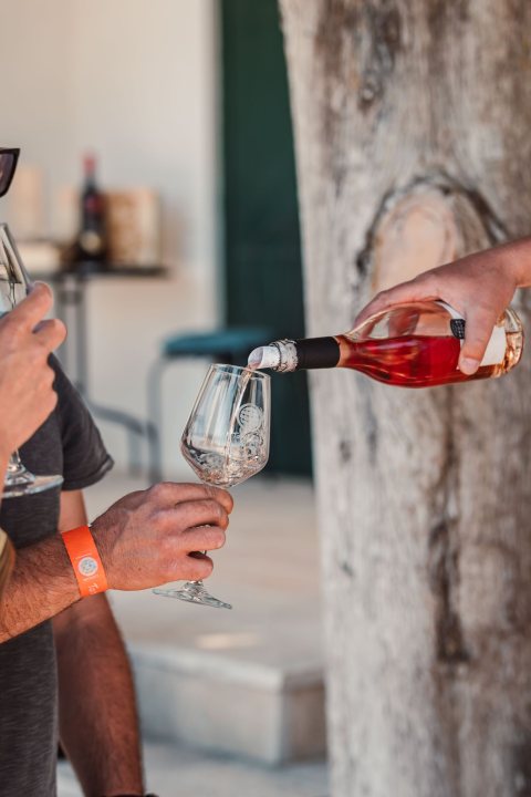 Iskoristite priliku za besplatan prijevoz mini busom u petak na Danima otvorenih kušaonica!