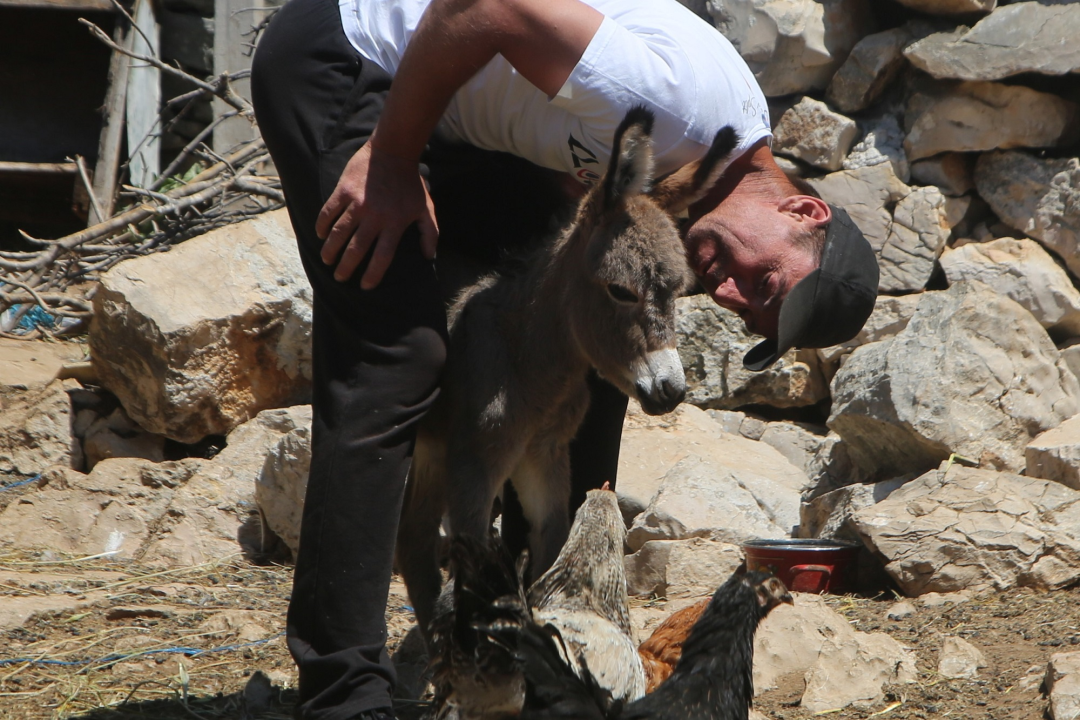 Slavni Miško dobio prvo unuče: Đurđa je oždrijebila Cvitu