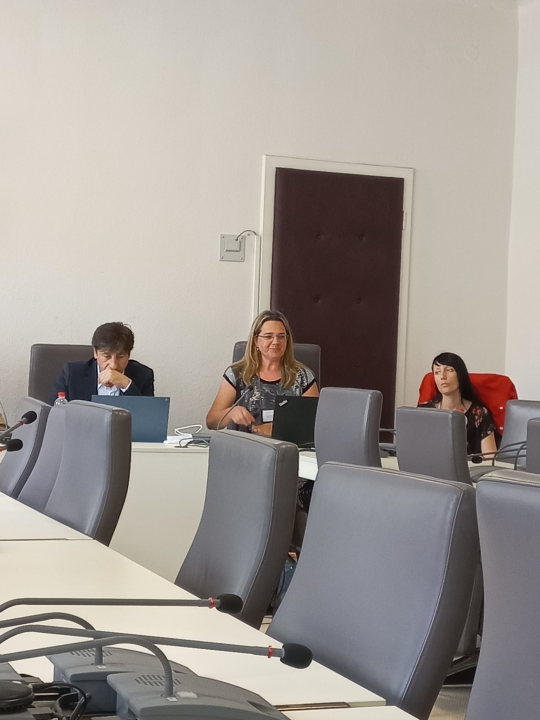 Održan sastanak Upravnog i Tehničkog odbora projekta TRANSFER 