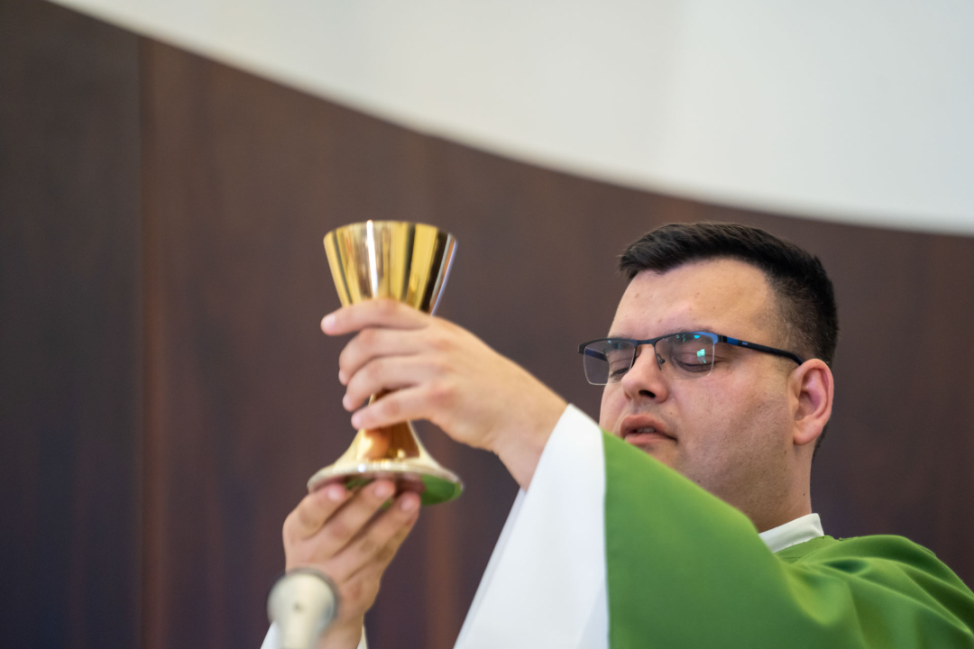 Svečani mimohod, radionice, mačevanje, vatreni show…: Završili ovogodišnji Zvonimirovi dani 