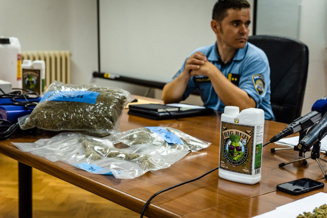 Pao vodički diler: U kući mu našli laboratorij, 500 kg stabljika kanabisa i 16 kg zapakirane marihuane 