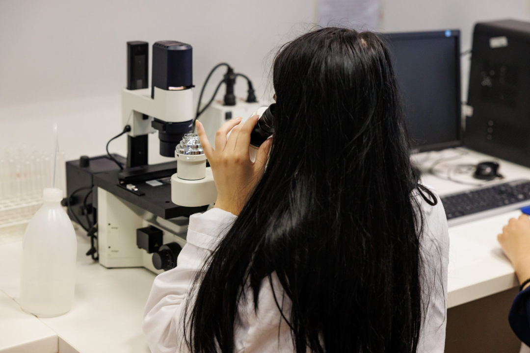 Studirajte na Veleučilištu 'Marko Marulić' u Kninu!