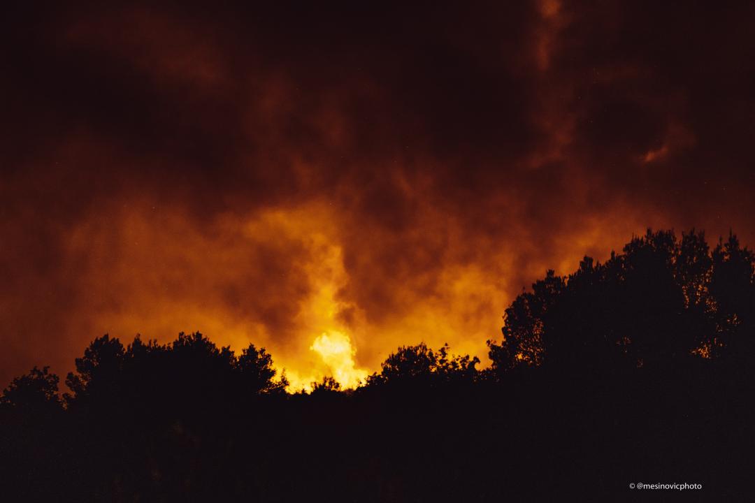 Fotogalerija i video: Bitka s vatrom u Zatonskoj ulici koja spaja Zaton i Benkovačku cestu