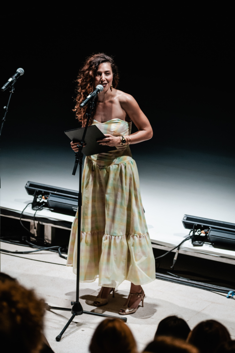 Šibenski plesni festival otvoren vratolomijama: Grad je idućih pet dana plesni centar svijeta