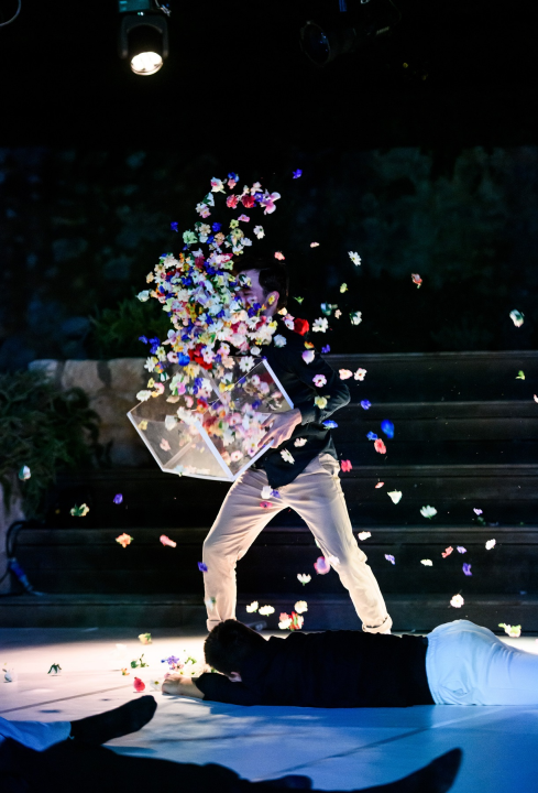 11. Šibenik Dance Festival završio pogledom u budućnost hrvatske plesne umjetnosti 