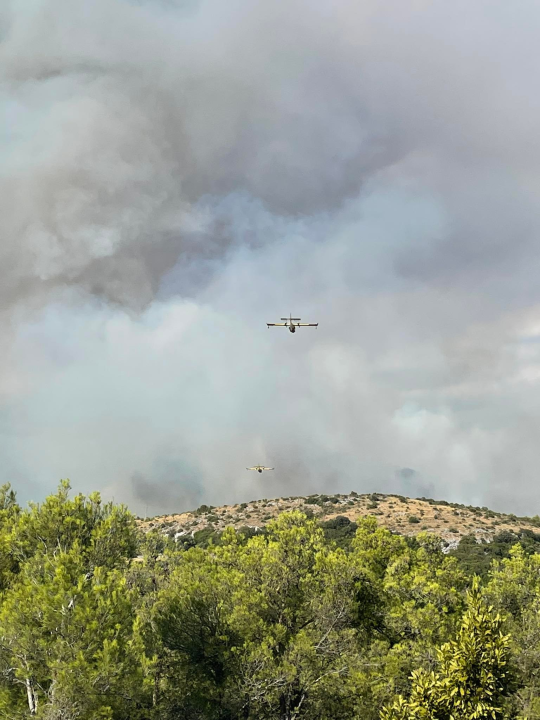 U tijeku sanacija požarišta u Vrpolju: Na terenu 60 vatrogasaca i 21 vozilo