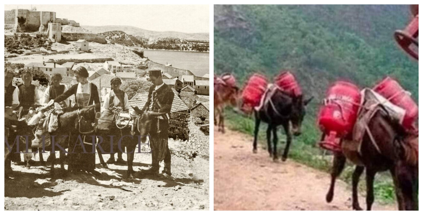 Nekad su mlikarice na magarcima iz Dubrave donosile mlijeko u grad: Stvari su se malo promijenile 