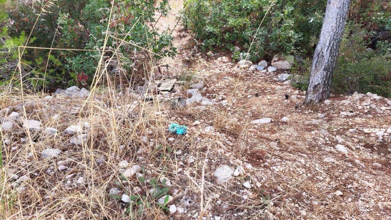 Sve više vlasnika pasa u Šibeniku usvaja novi trend: Dvostruko onečišćenje ulica i okoliša