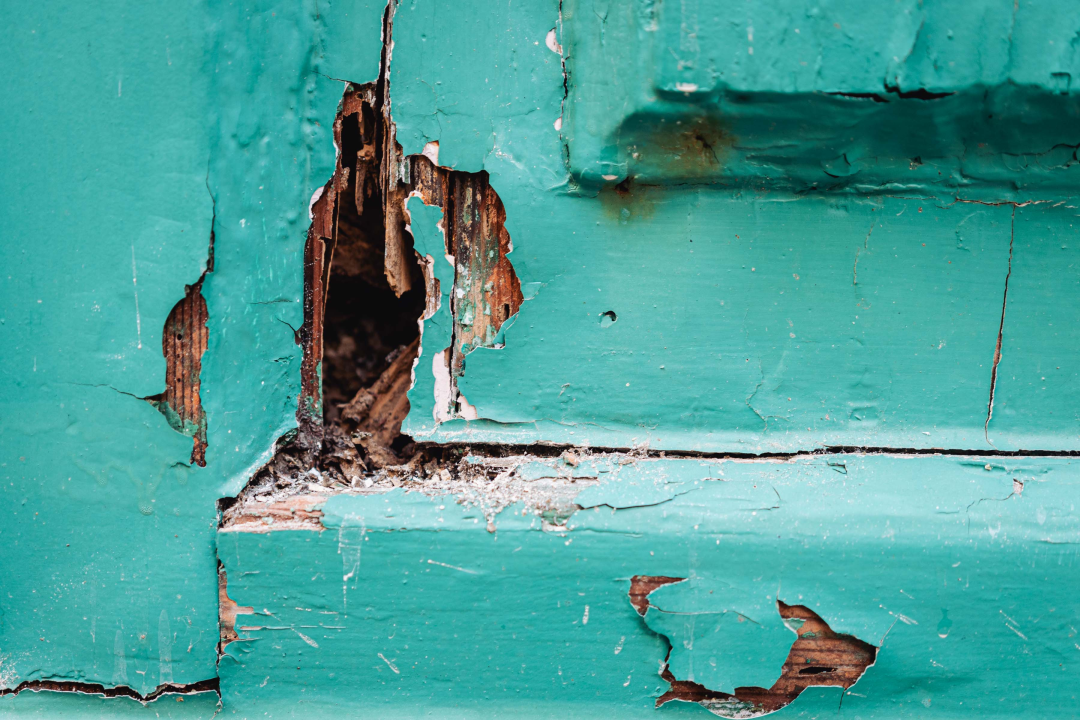 Studenti splitske akademije obnavljaju dva renesansna portala na ulazu u Muzej: ‘Ovo je velika čast’