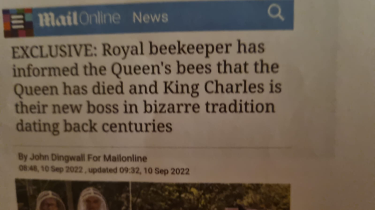 Učenici napravili hotel za pčele: 'Smješten je u dvorište škole, a djeca će pratiti rezervacije i popunjenost' 