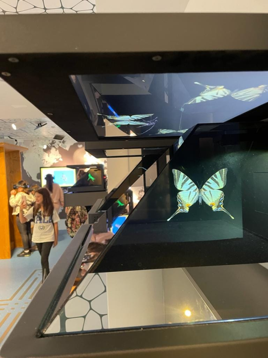 Tenisači sa Šubićevca u posjetu Eko kampusu „Krka"