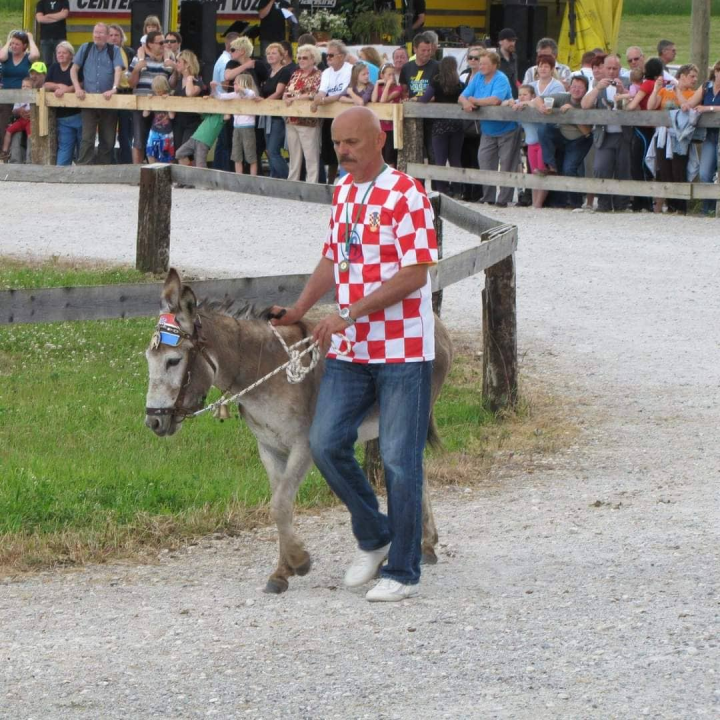 Paško je ljubav prema magarcima pretvorio u obiteljski posao: 'Kćer će mi biti dostojna zamjena na utrkama'