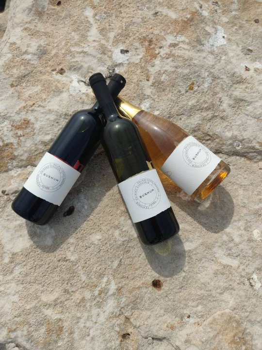 Knin je doživio turistički rast: Sve više posjetitelja otkriva njegove čari