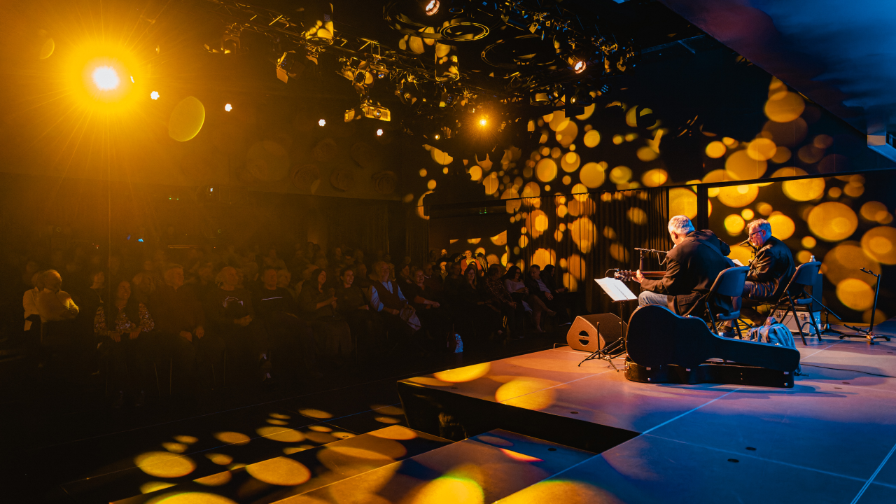 Arsenov prijatelj Zoran Predin u Kući umjetnosti Arsen oduševio glazbom i humorom 