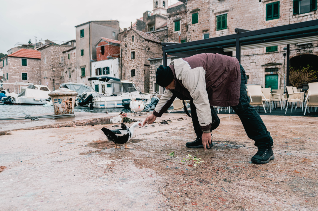 Patak Mile je dolački mezimac, labudovi nisu dobrodošli: ‘Posla bi ih kod britanske kraljice’