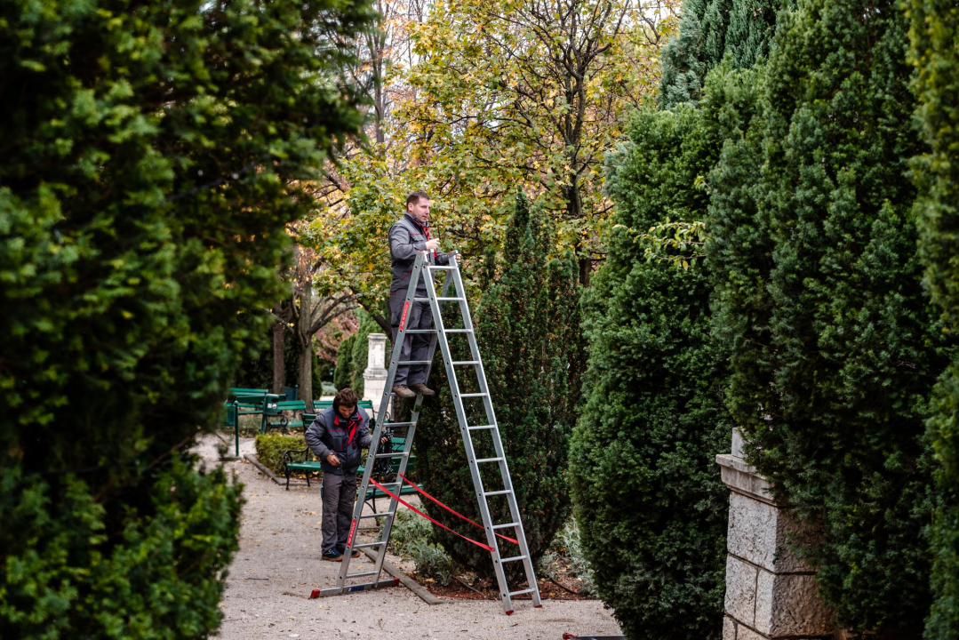 Brojimo sitno do najveselijih dana u godini: Počelo čišćenje i ukrašavanje Đardina  