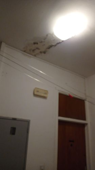 Stanari jedne zgrade u Šibeniku godinama žive u neljudskim uvjetima: Prokišnjava lift, gljivice na zidovima te krpe i kante posvuda 