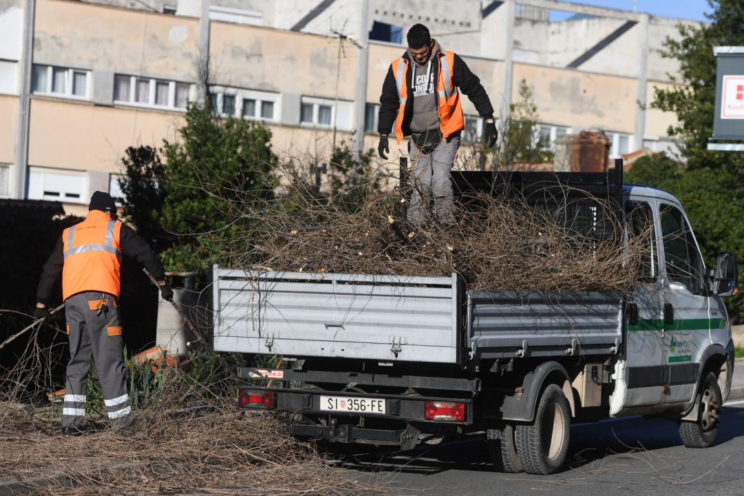 Zeleni grad u zimskoj akciji: Uklanjaju suhe grane i škaraju krošnje stabala
