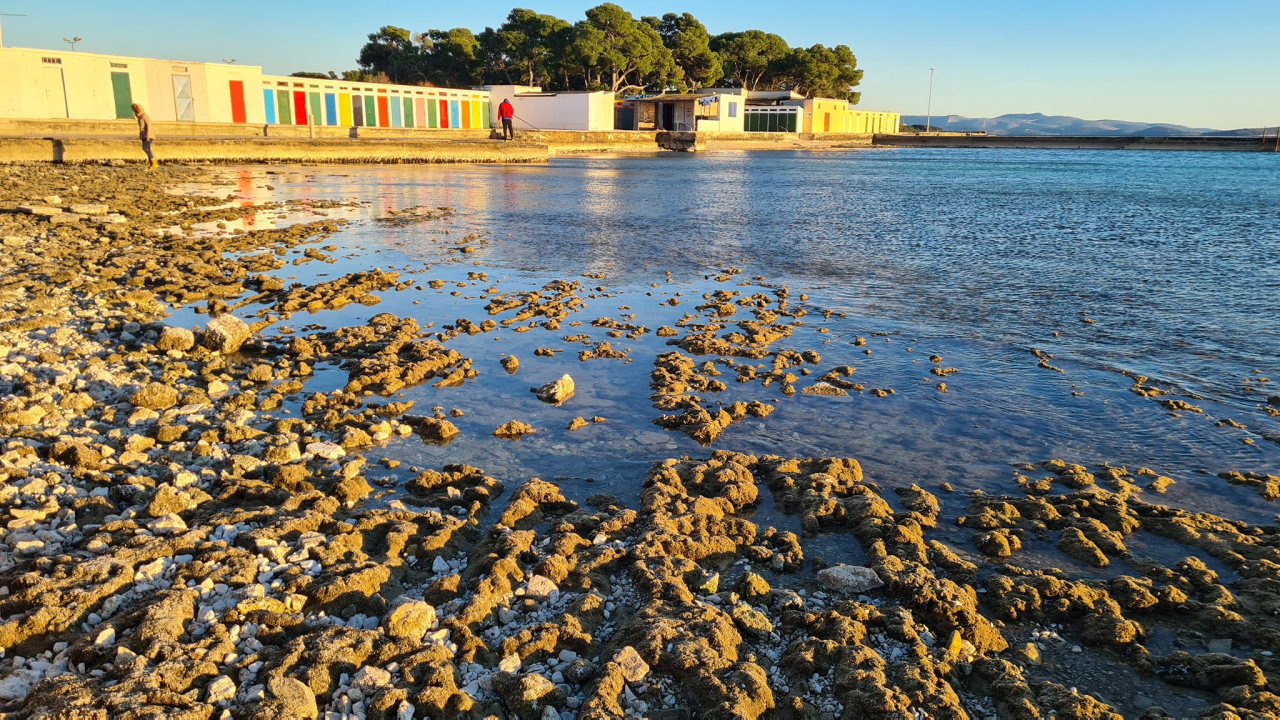 Prizor koji ne viđamo svaki dan: Velika oseka na Jadriji