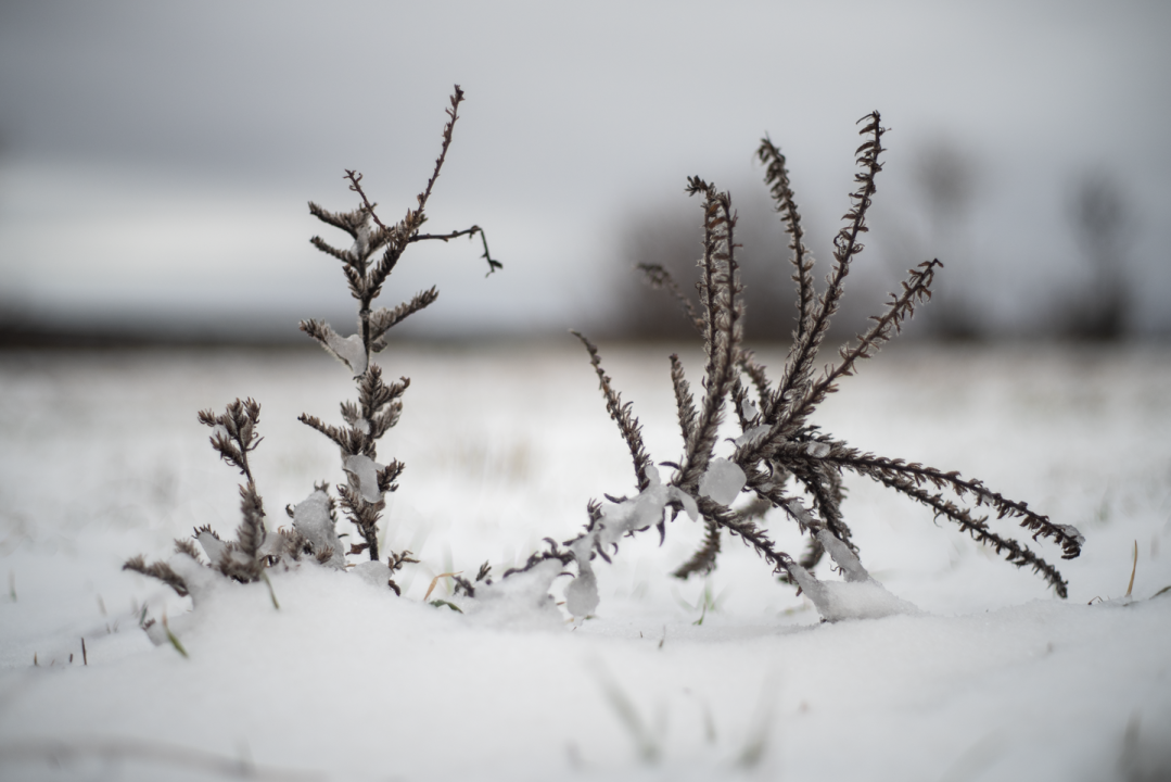 Zimska bajka na Burnumu i Manojlovcu