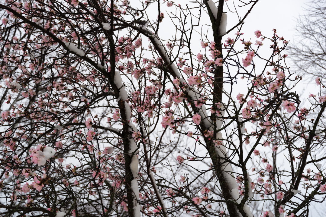 Zimska bajka na Burnumu i Manojlovcu