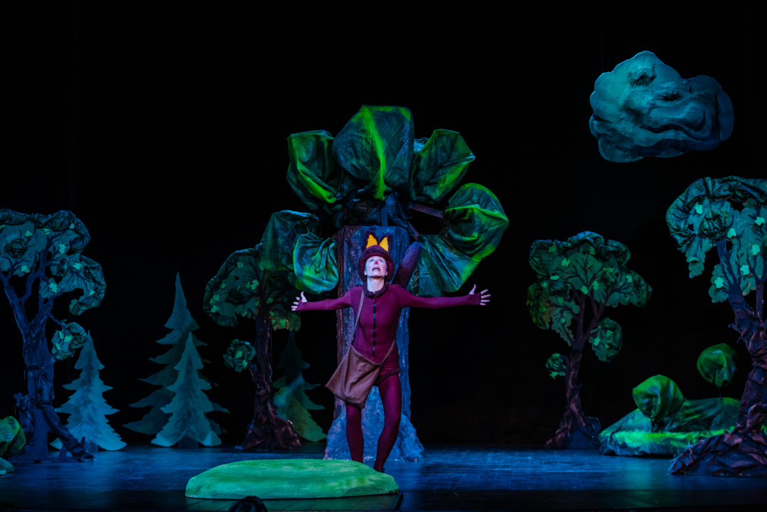 Šibensko kazalište ima novu predstavu za djecu: 'Ovo je nastavak avantura zeke i vjeverice'