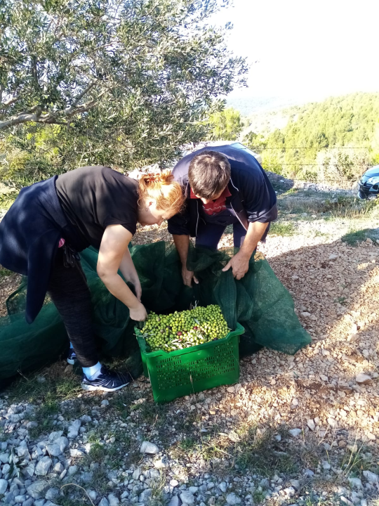 OPG Ivić od hobija postao obiteljski posao prepoznat u svijetu: 'Mnogo je truda i odricanja, ali priznanja daju vjetar u leđa'